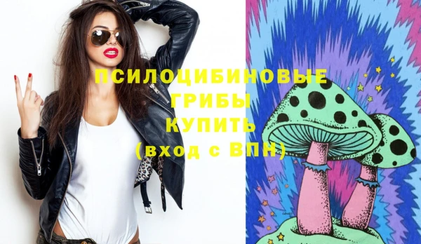 герыч Гусь-Хрустальный
