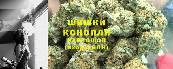 ГАЛЛЮЦИНОГЕННЫЕ ГРИБЫ Тавда
