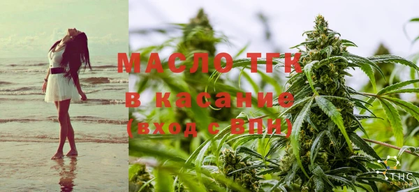 ГАЛЛЮЦИНОГЕННЫЕ ГРИБЫ Тавда