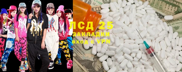 ГАЛЛЮЦИНОГЕННЫЕ ГРИБЫ Тавда