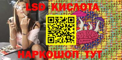 прущие крисы Бийск