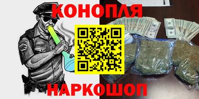 прущие крисы Бийск