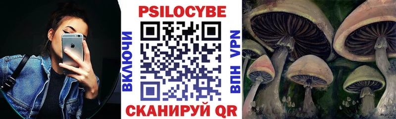 как найти закладки  Калининград  Галлюциногенные грибы Psilocybine cubensis 