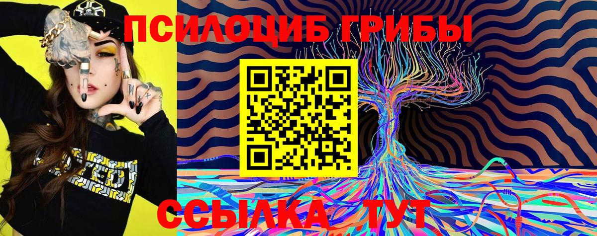 Галлюциногенные грибы мухоморы  Галлюциногенные грибы Cubensis  Калининград 