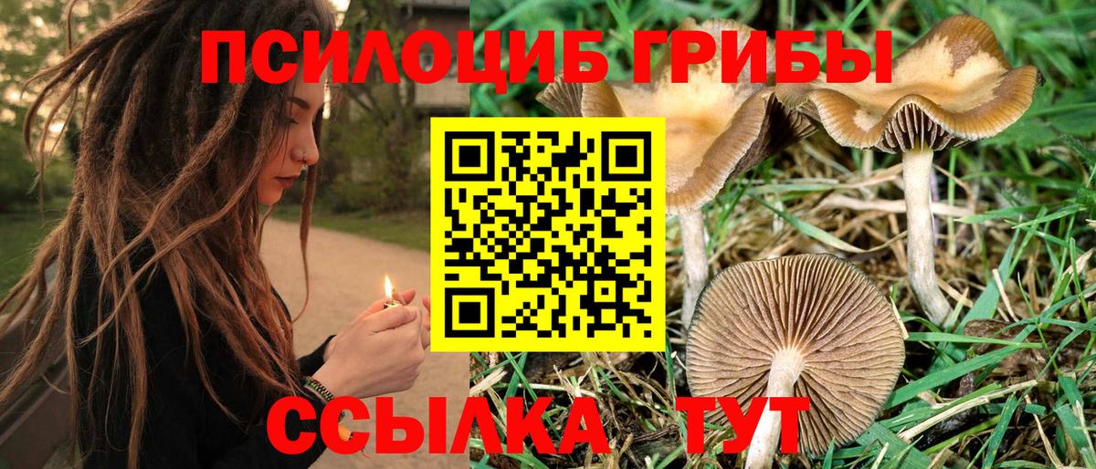 Калининград  Псилоцибиновые грибы ЛСД  Псилоцибиновые грибы Psilocybe  наркота  Вход с VPN 