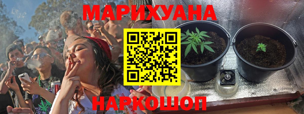 Бошки марихуана план  Вход с VPN  Калининград  Конопля Bruce Banner 